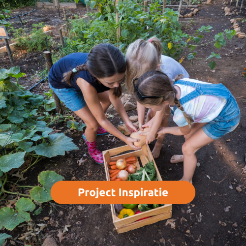 Growing Mystery - inspiratie eTwinning project 