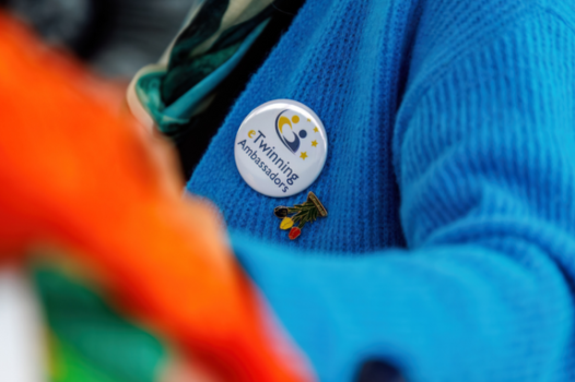 eTwinning ambassador button